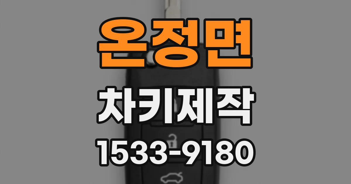 온정면 차키제작