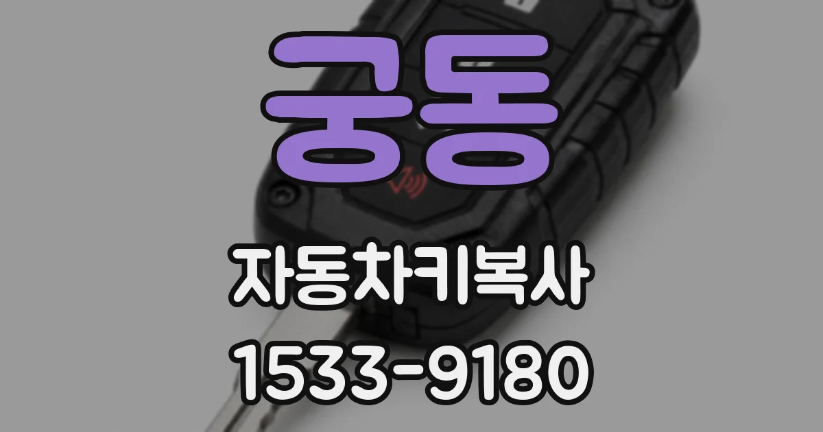 궁동 자동차키복사