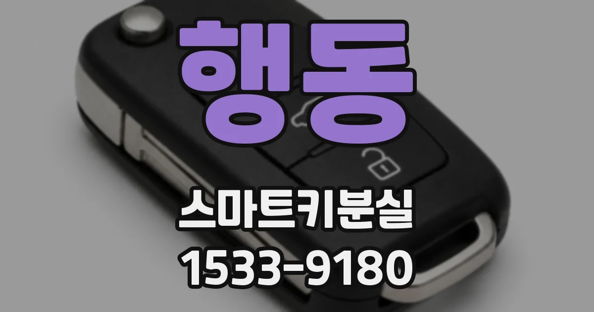 행동 스마트키분실