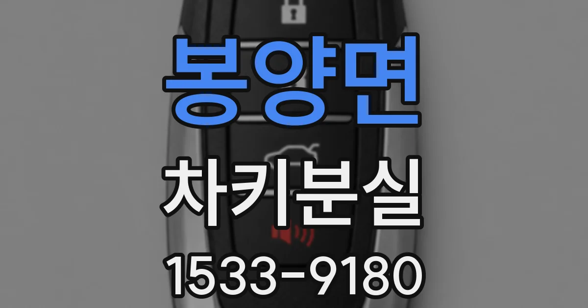 봉양면 차키분실