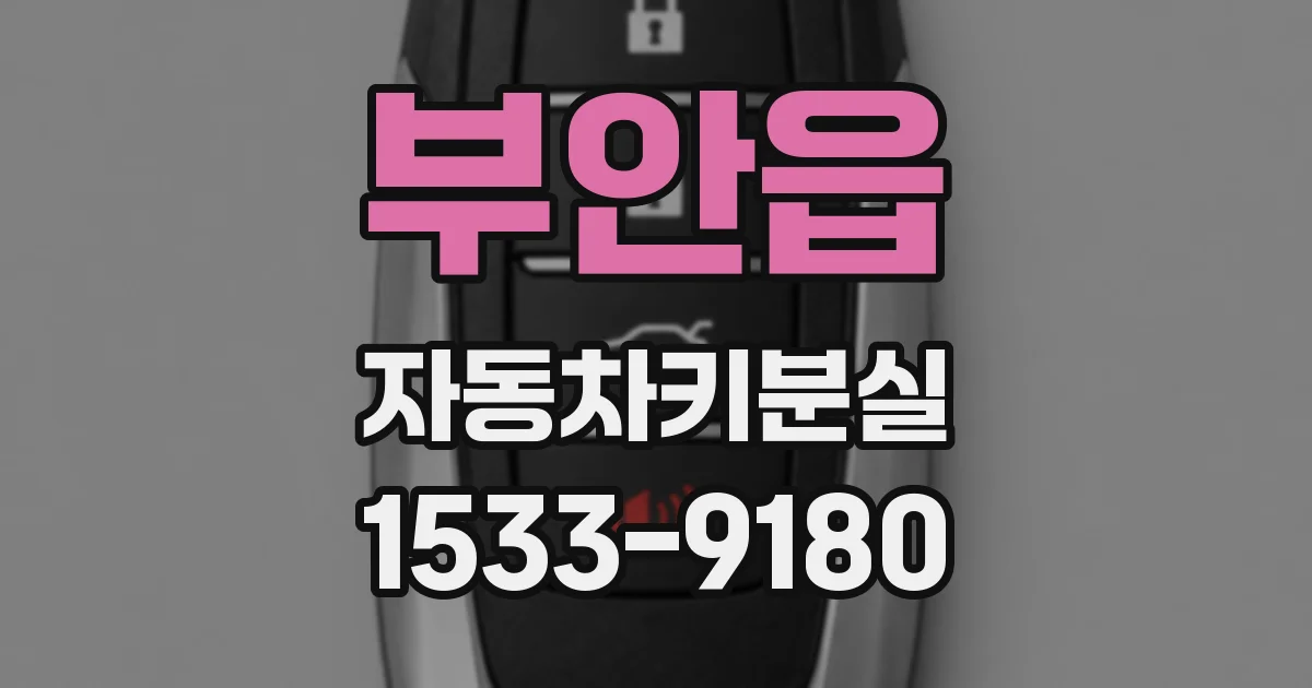 부안읍 자동차키분실