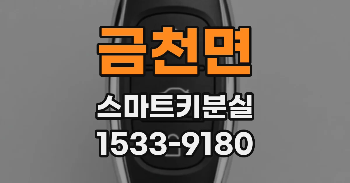 금천면 스마트키분실