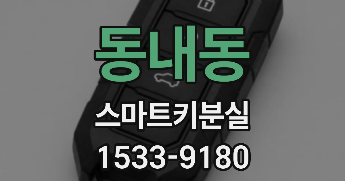 동내동 스마트키분실