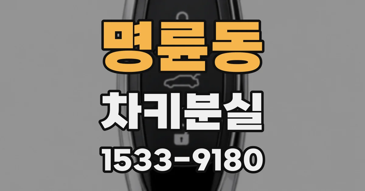 명륜동 차키분실