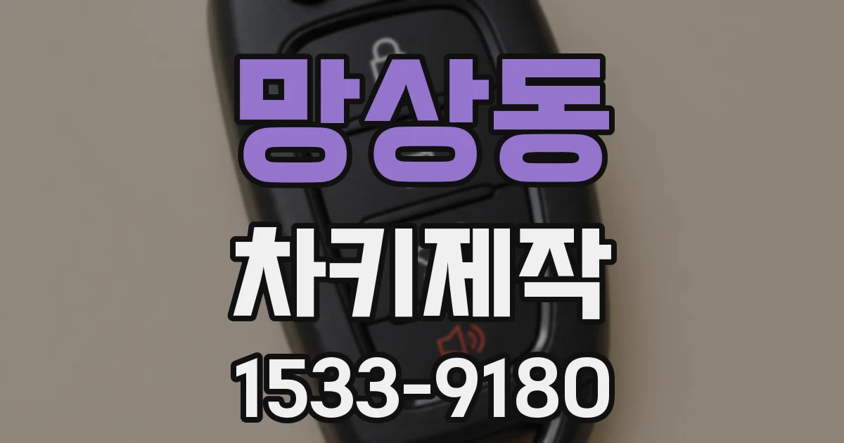 망상동 차키제작