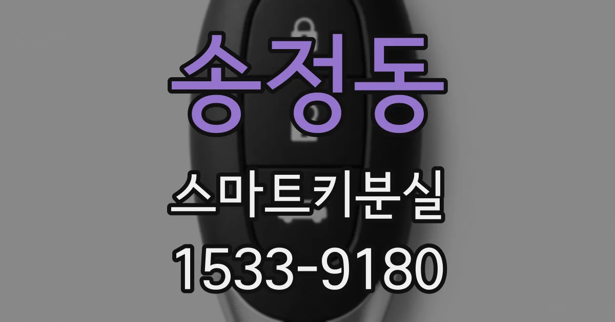 송정동 스마트키분실