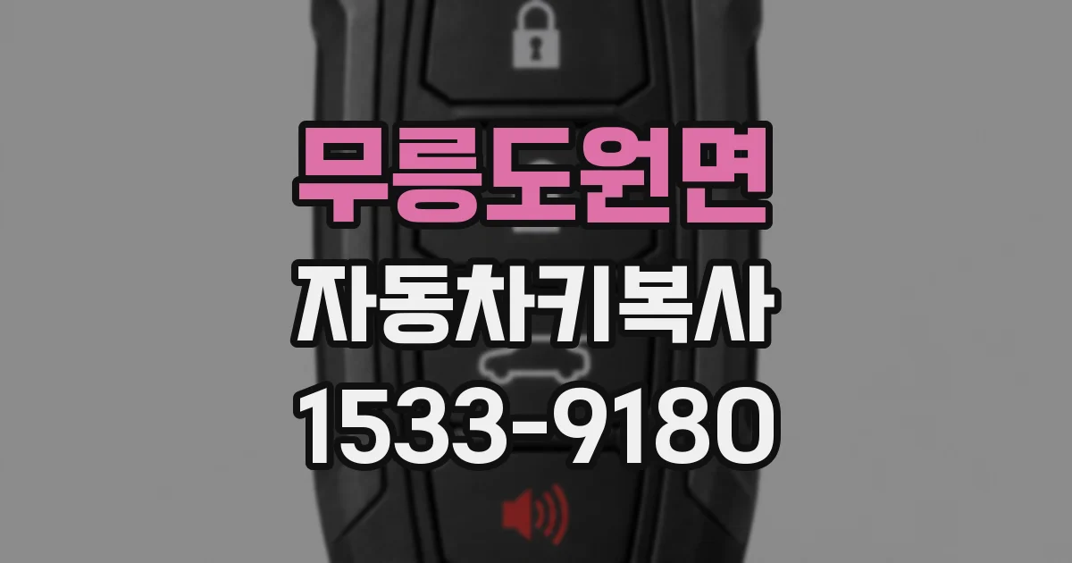 무릉도원면 자동차키복사