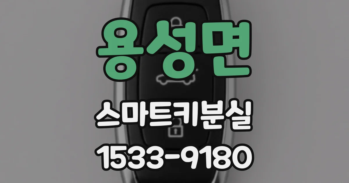 용성면 스마트키분실