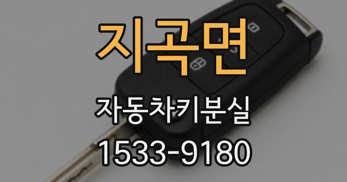 지곡면 자동차키분실