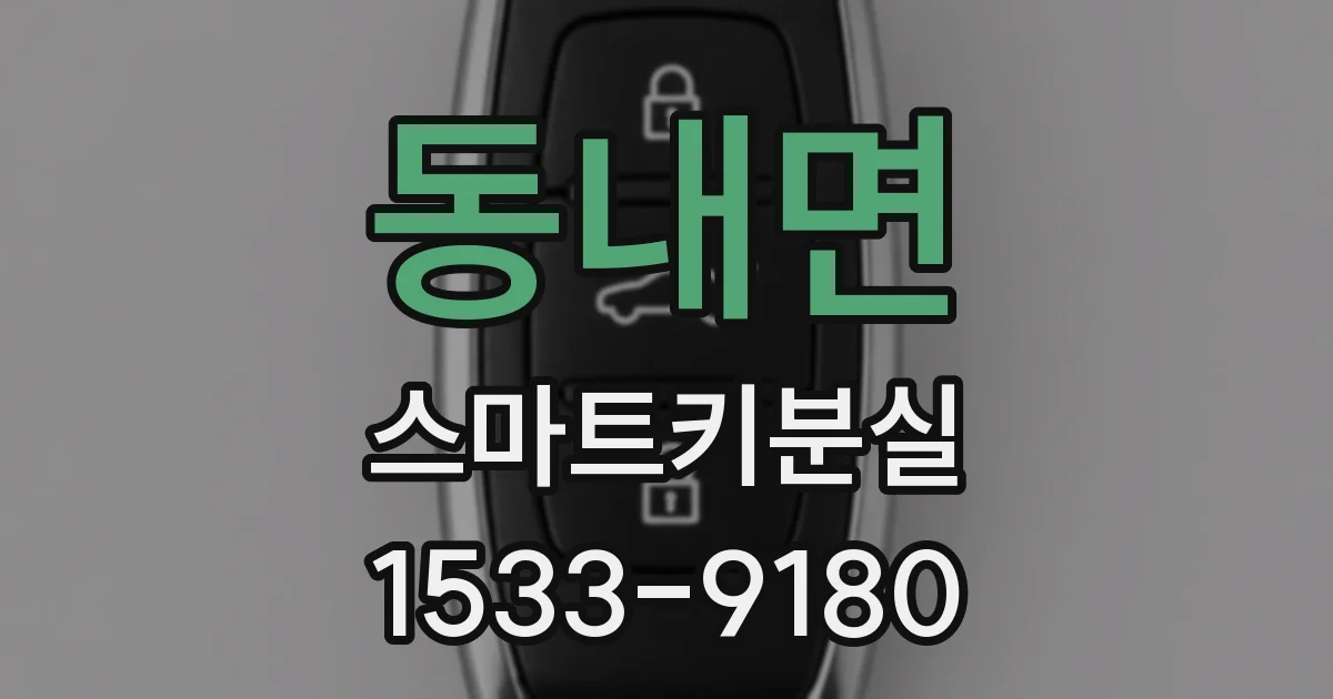동내면 스마트키분실