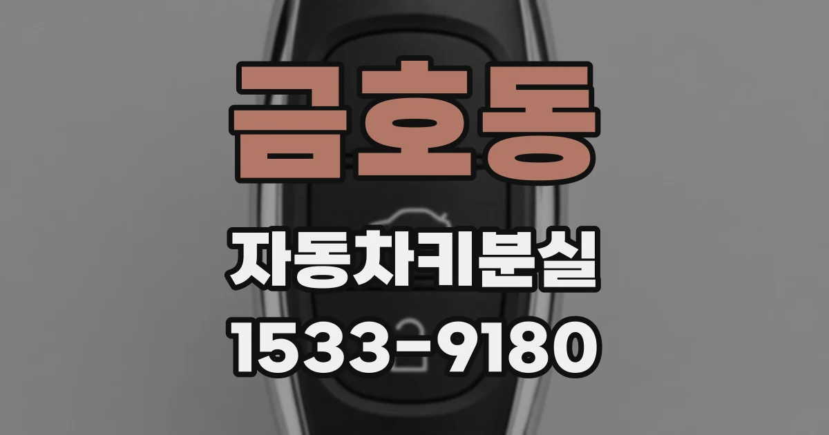 금호동 자동차키분실