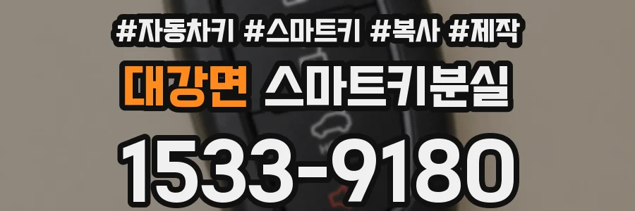 대강면 스마트키분실