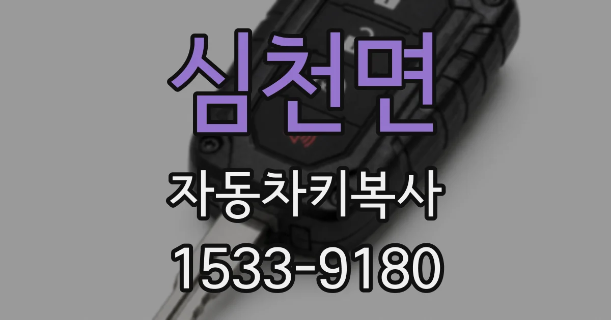 심천면 자동차키복사