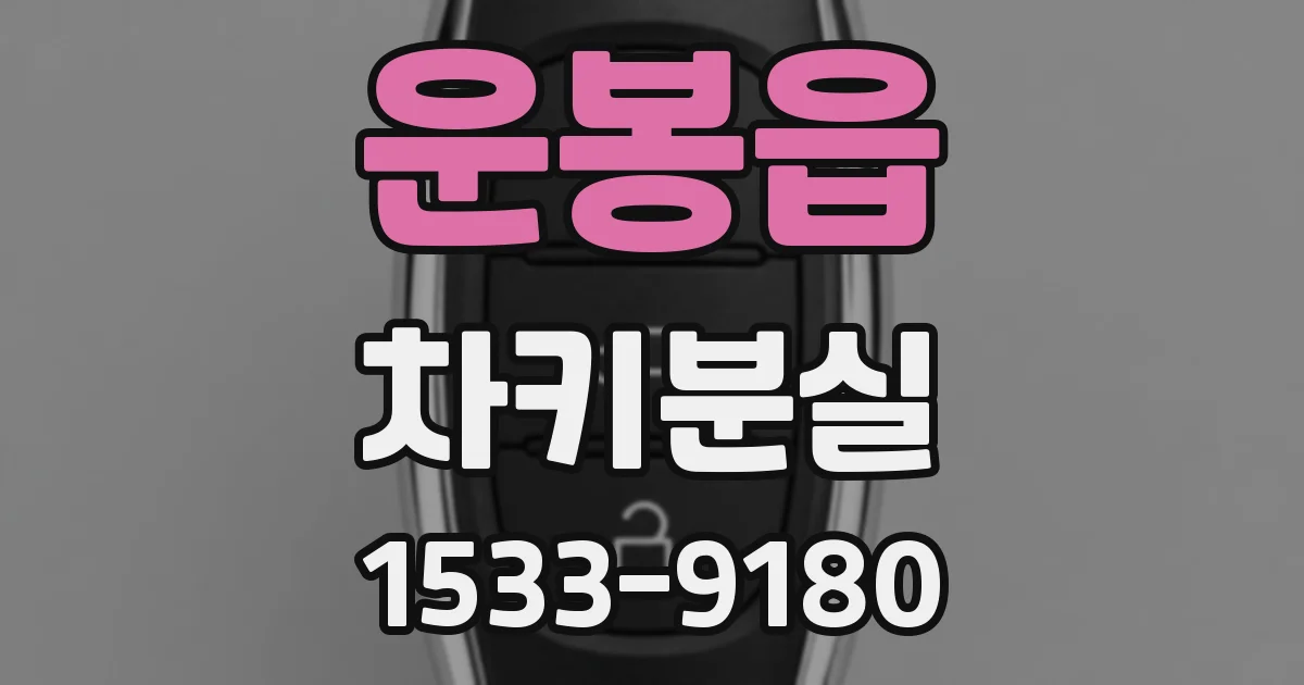 운봉읍 차키분실