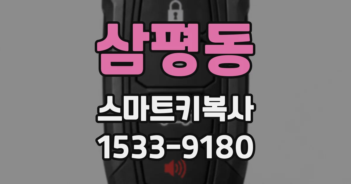삼평동 스마트키복사