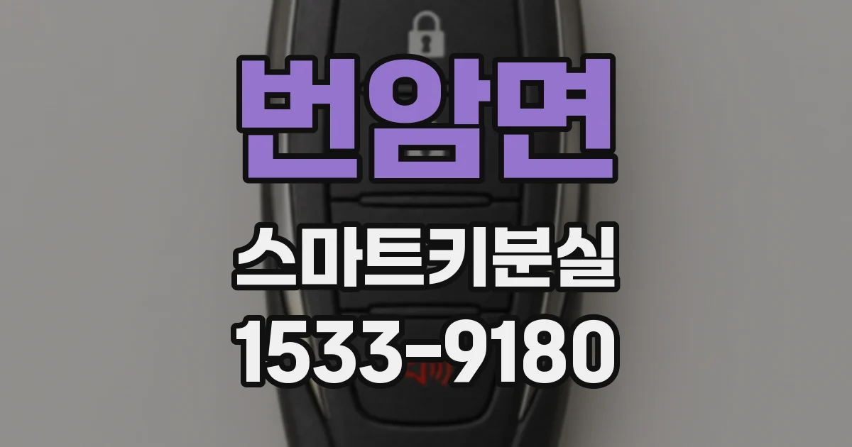번암면 스마트키분실