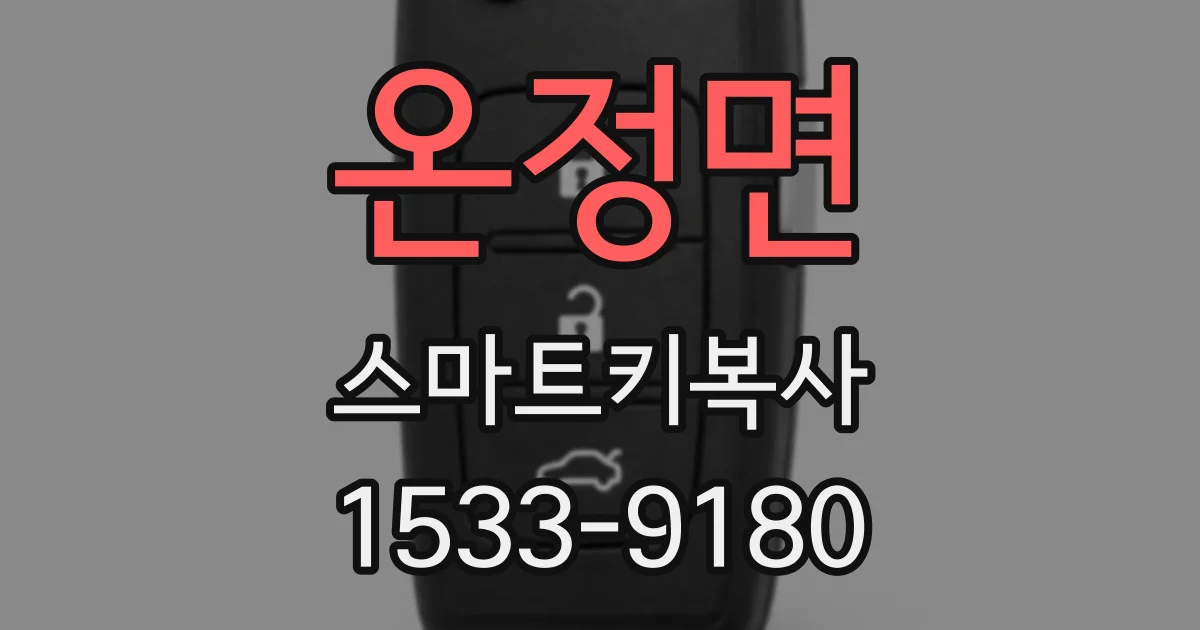 온정면 스마트키복사