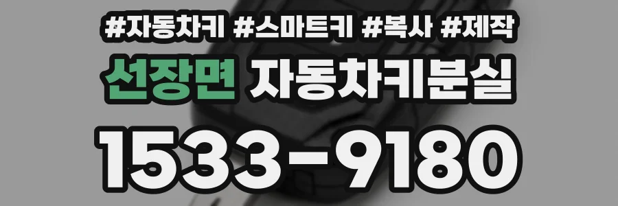 선장면 자동차키분실