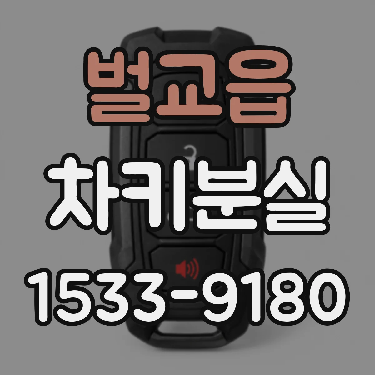 벌교읍 차키분실