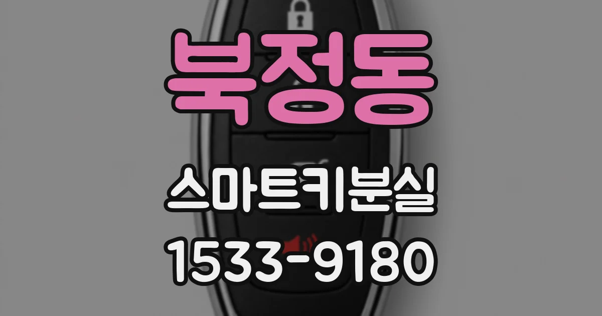 북정동 스마트키분실
