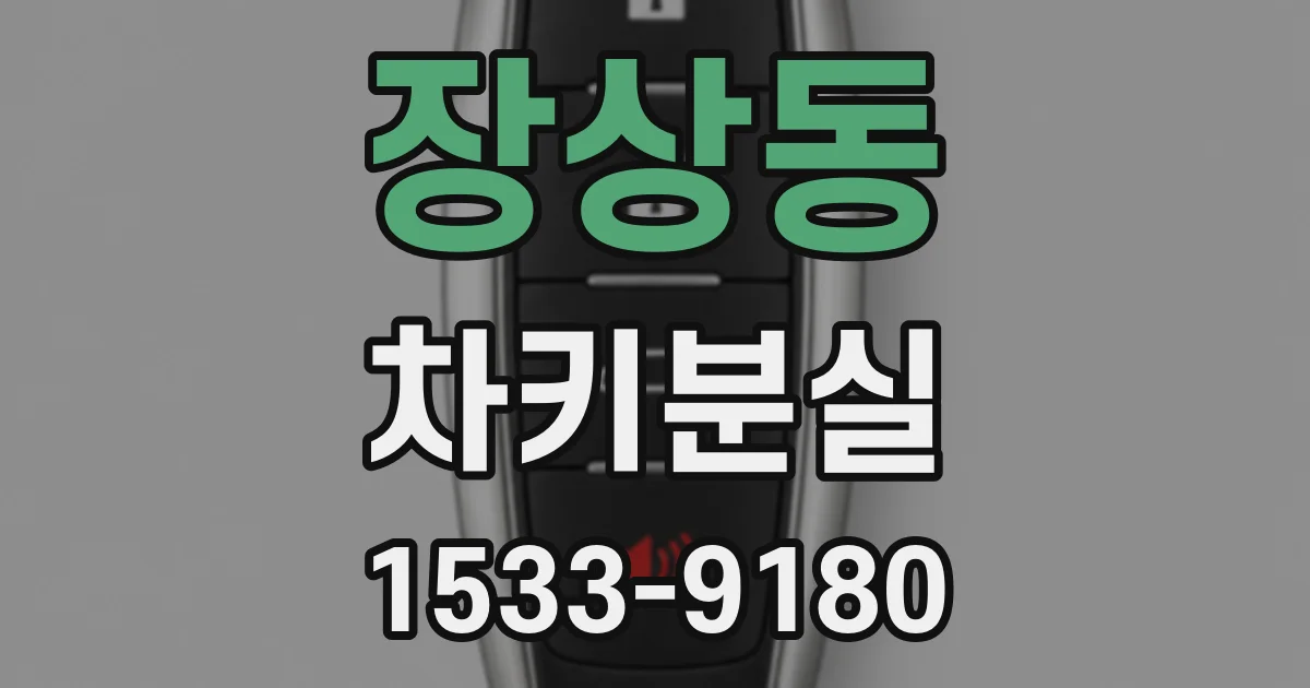 장상동 차키분실