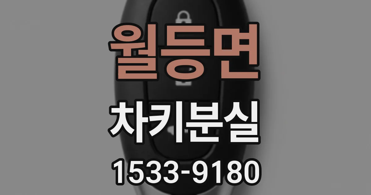 월등면 차키분실