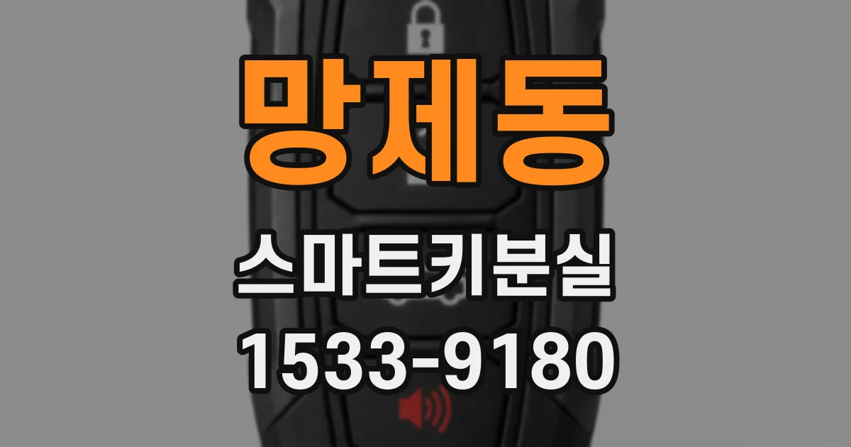 망제동 스마트키분실