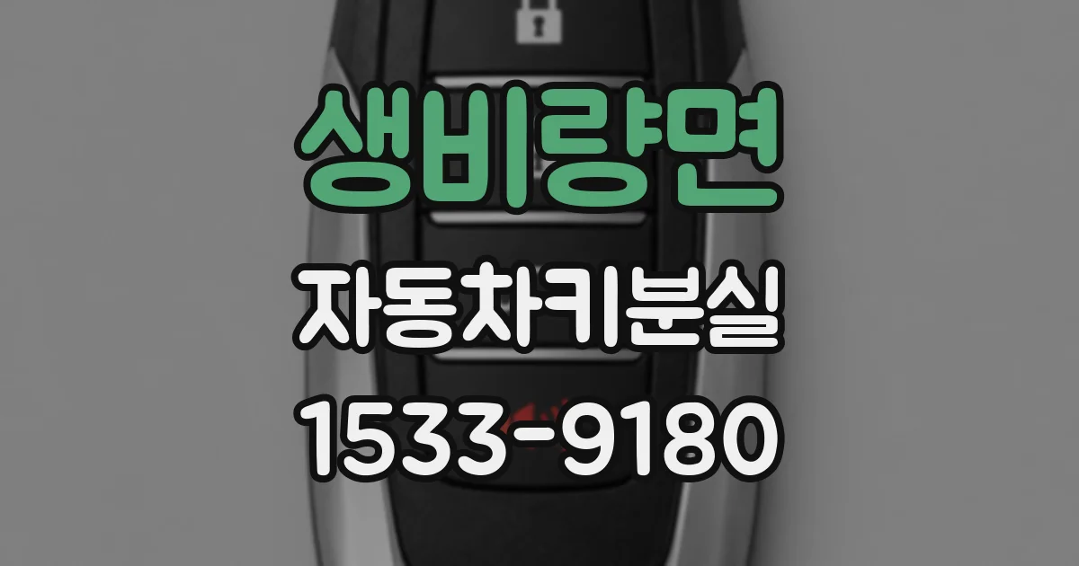 생비량면 자동차키분실