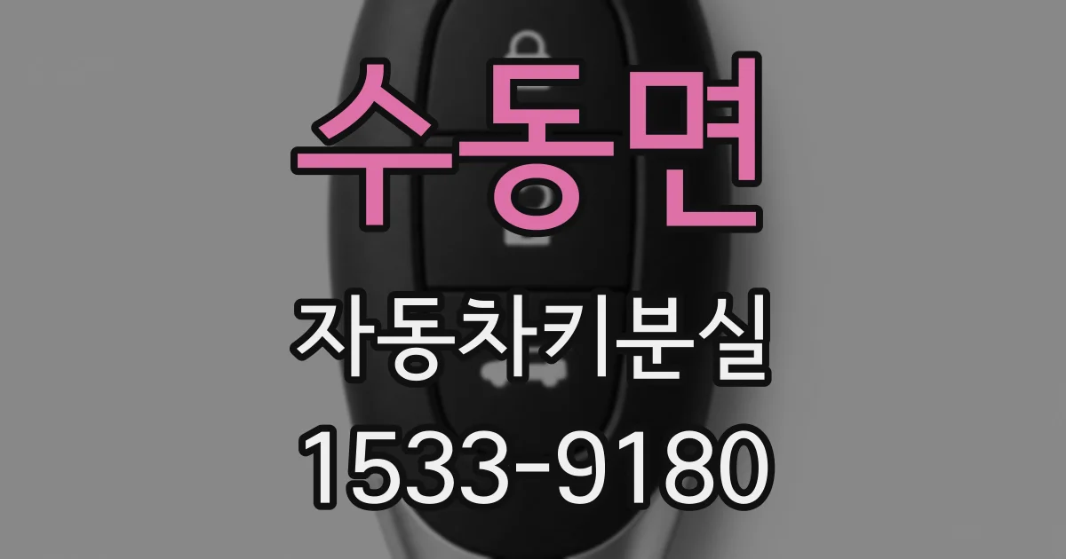 수동면 자동차키분실
