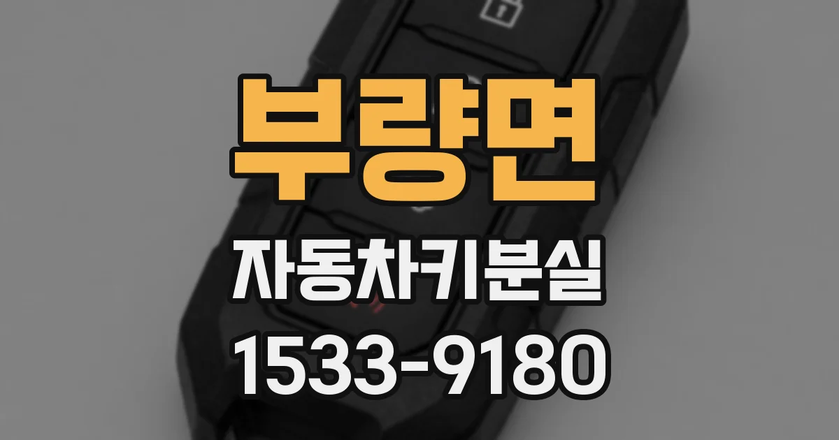 부량면 자동차키분실