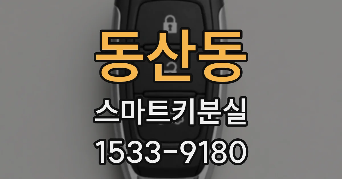 동산동 스마트키분실