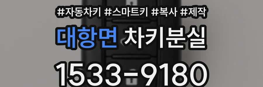 대항면 차키분실