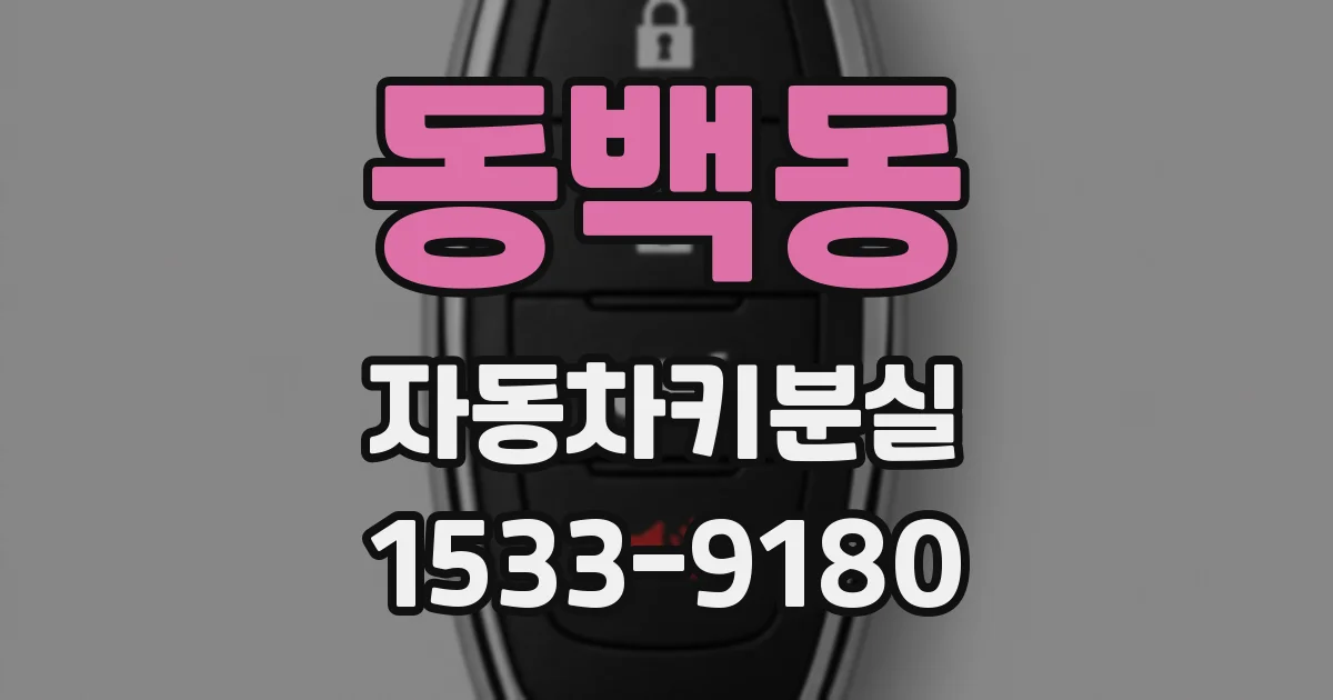 동백동 자동차키분실