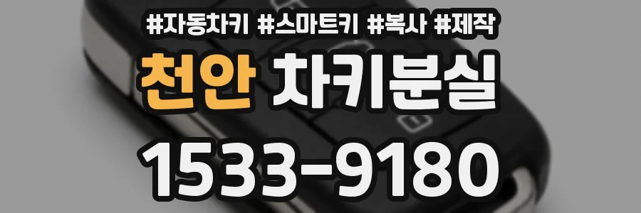 천안 차키분실