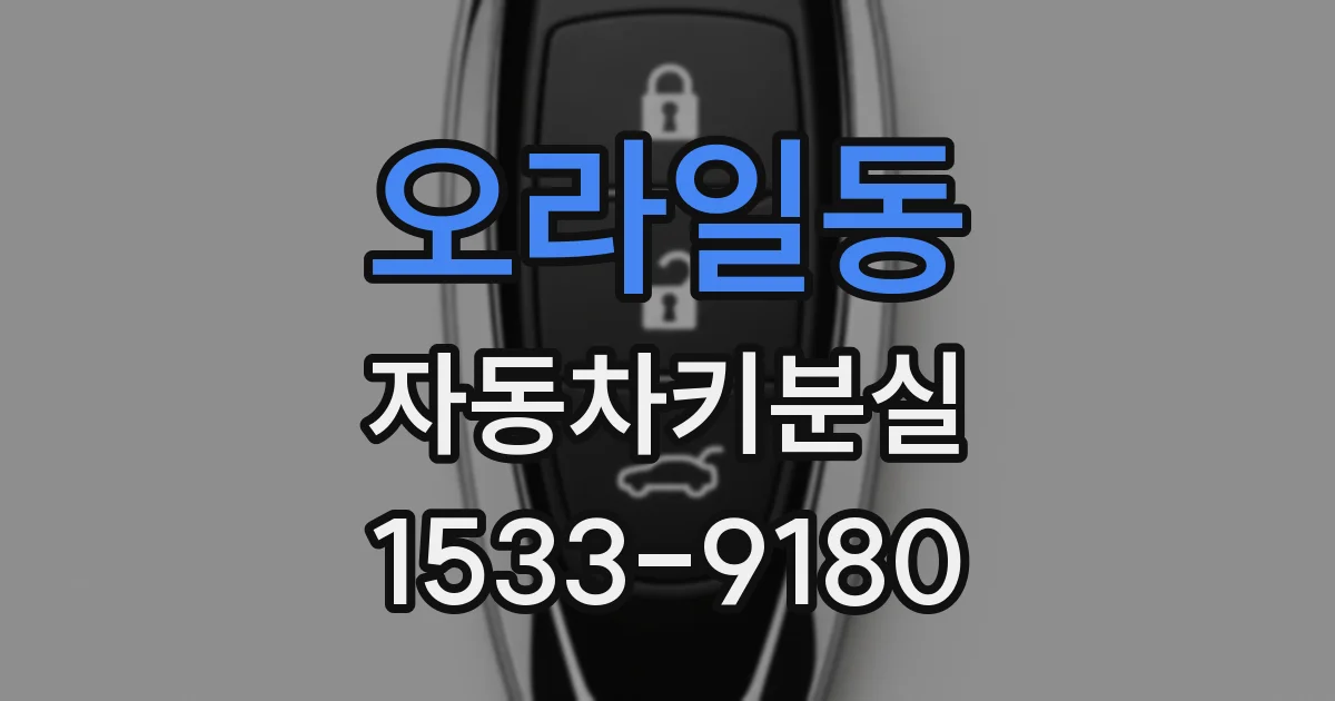 오라일동 자동차키분실