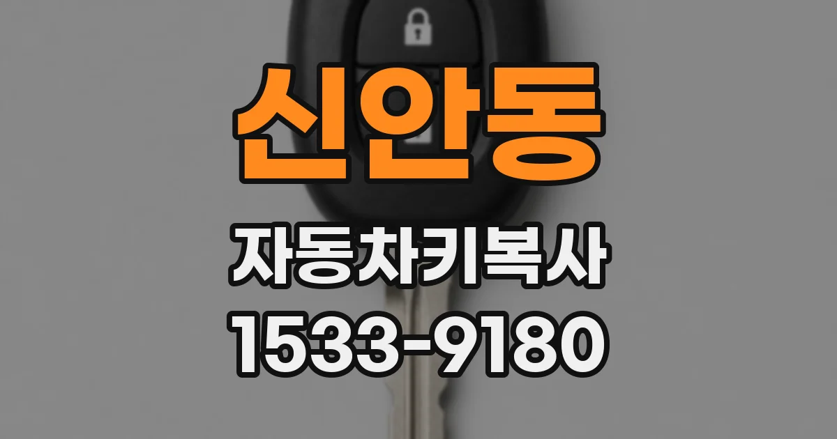 신안동 자동차키복사