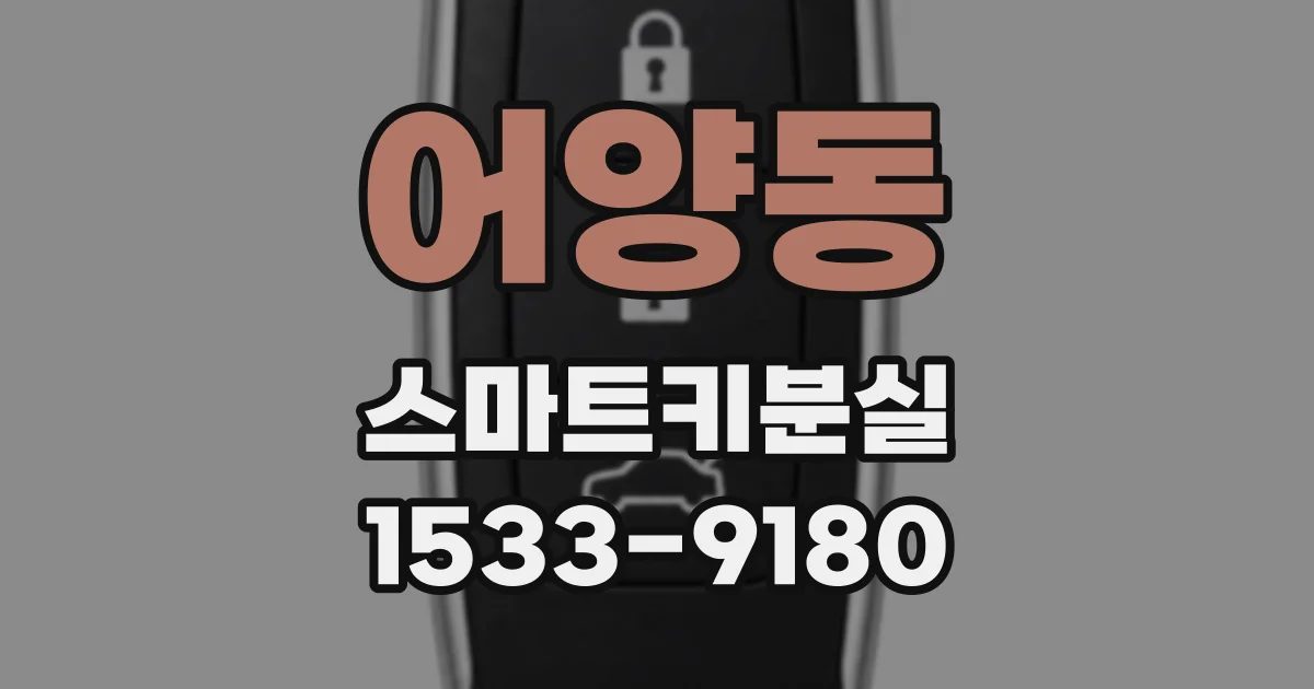 어양동 스마트키분실