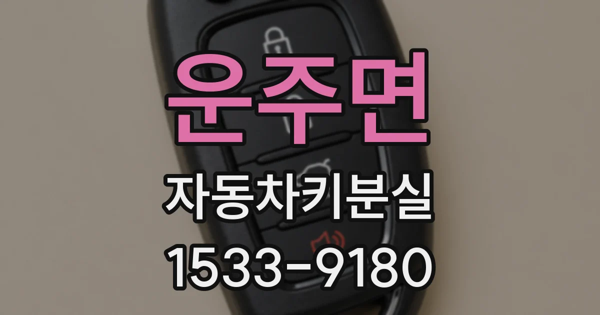 운주면 자동차키분실