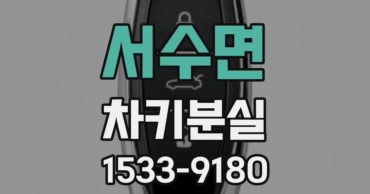 서수면 차키분실