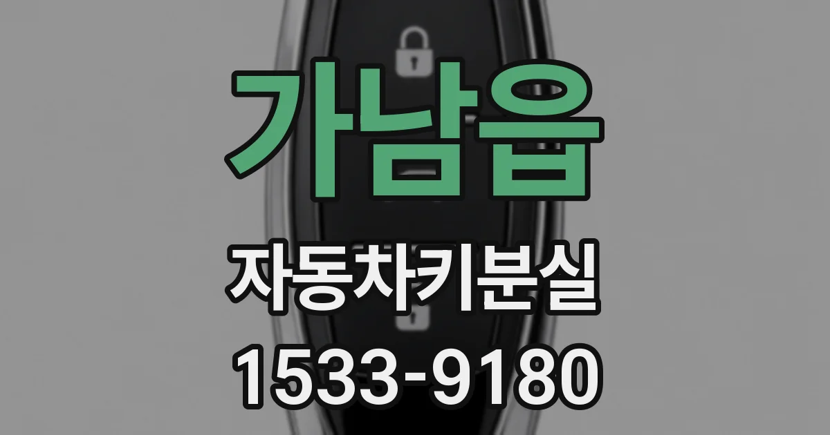 가남읍 자동차키분실
