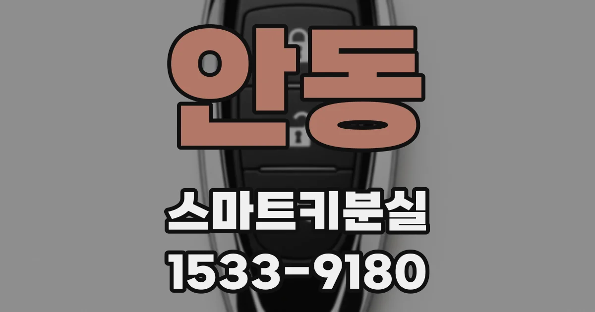 안동 스마트키분실