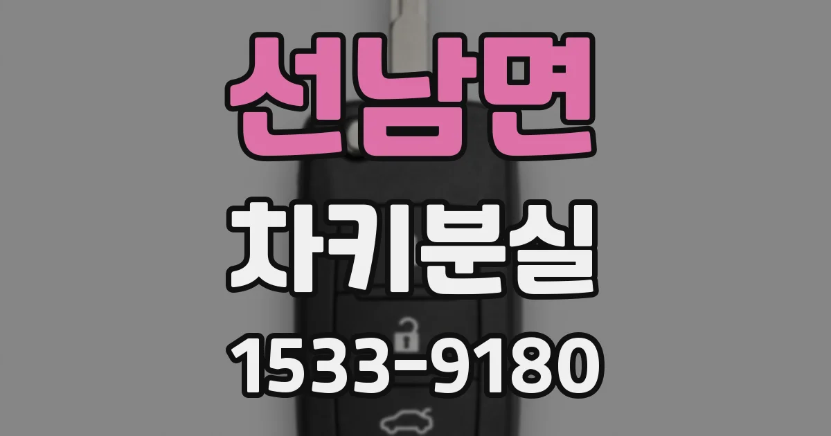 선남면 차키분실