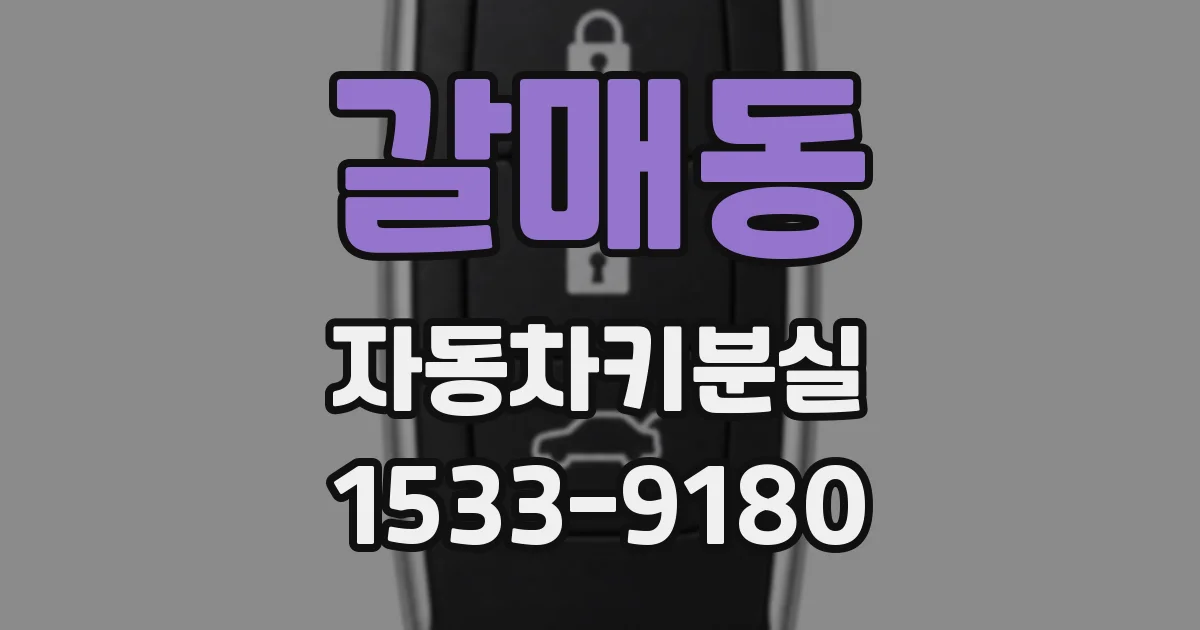 갈매동 자동차키분실