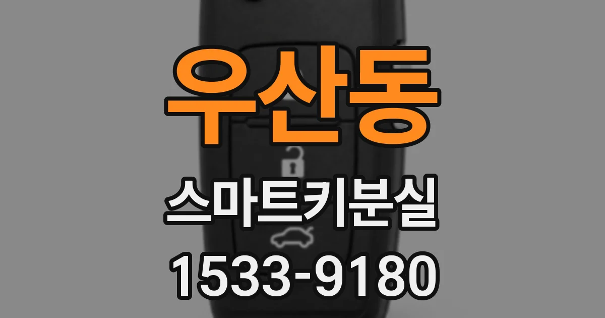 우산동 스마트키분실