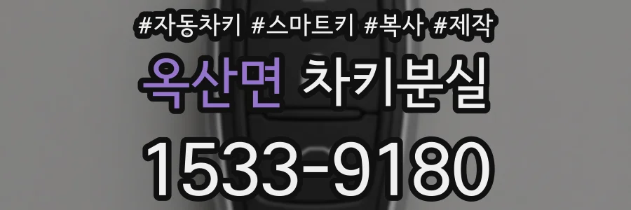 옥산면 차키분실