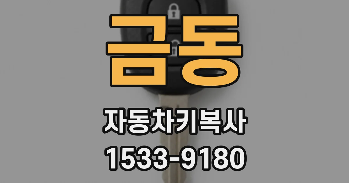 금동 자동차키복사