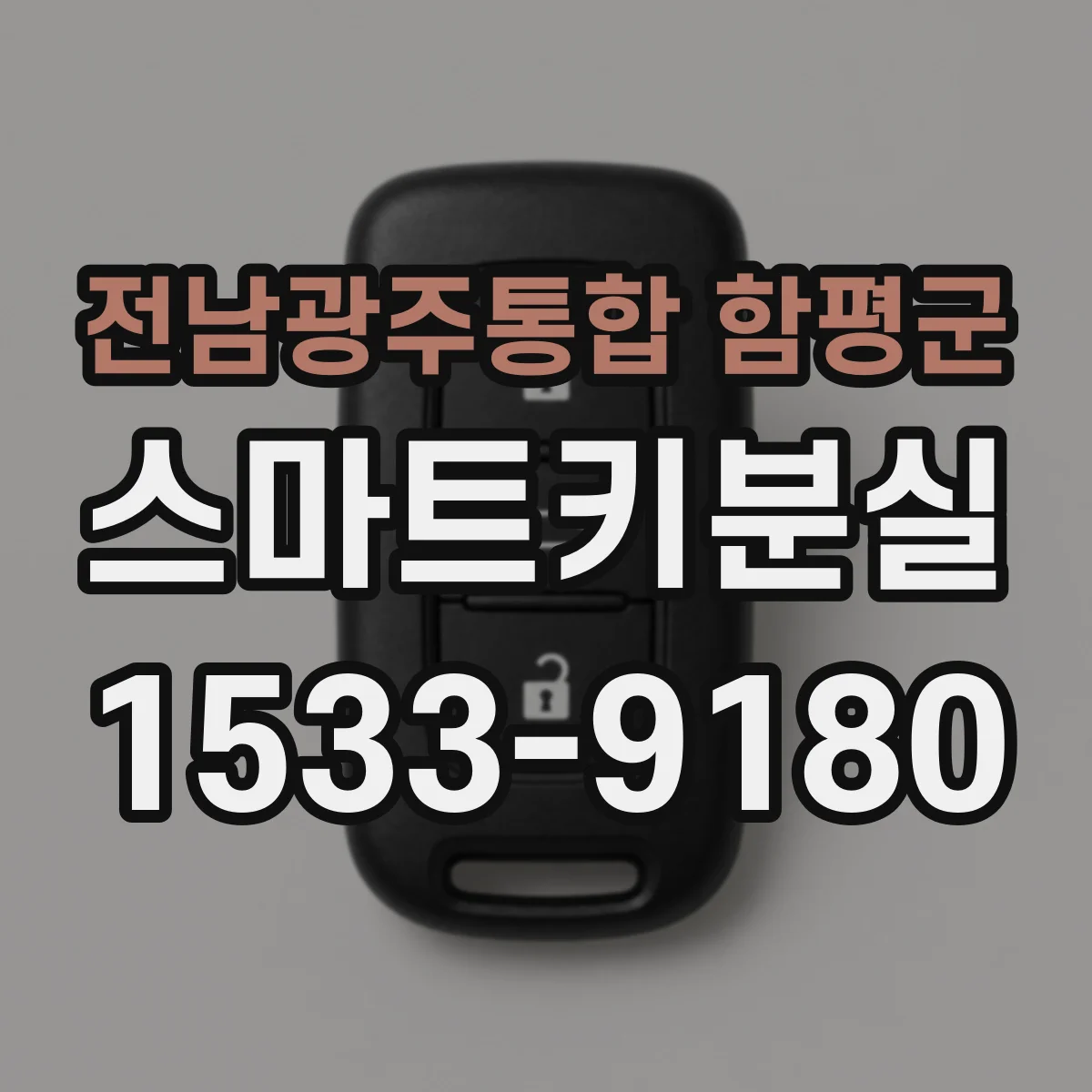 전남광주통합 함평군 스마트키분실