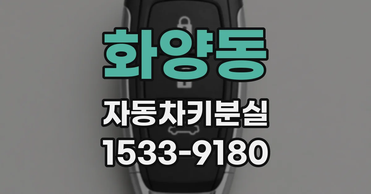 화양동 자동차키분실