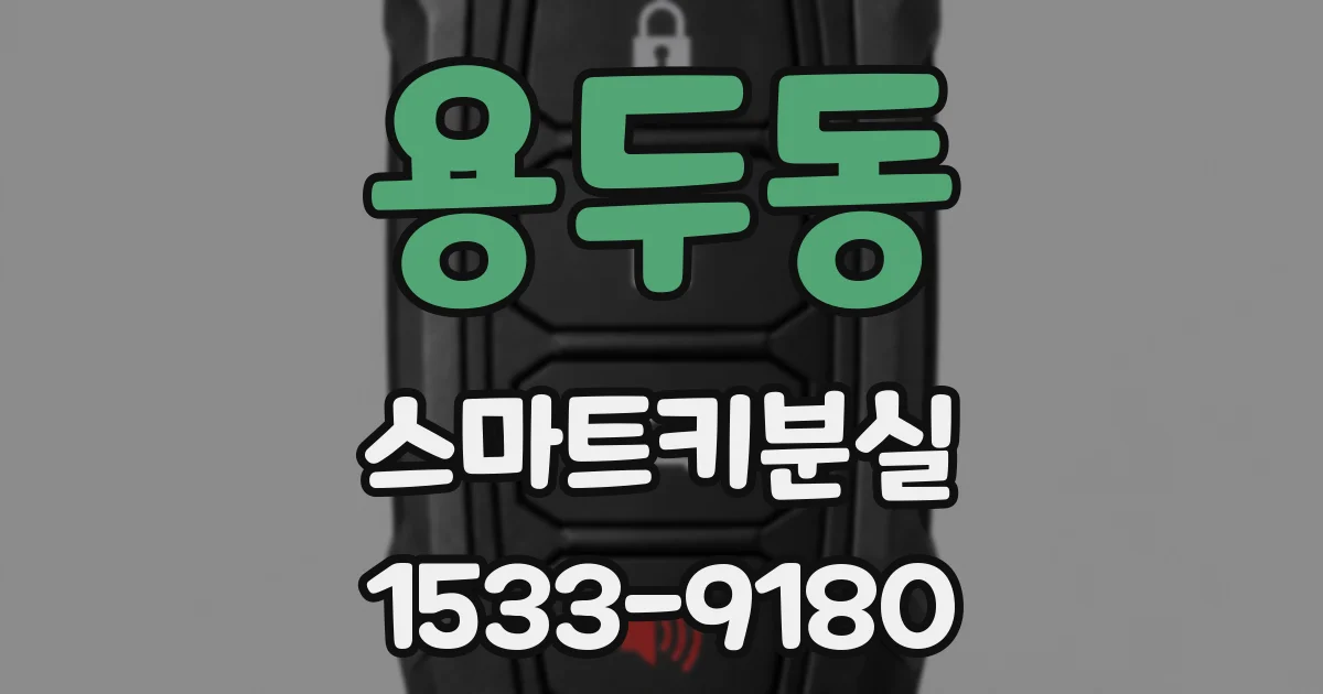 용두동 스마트키분실