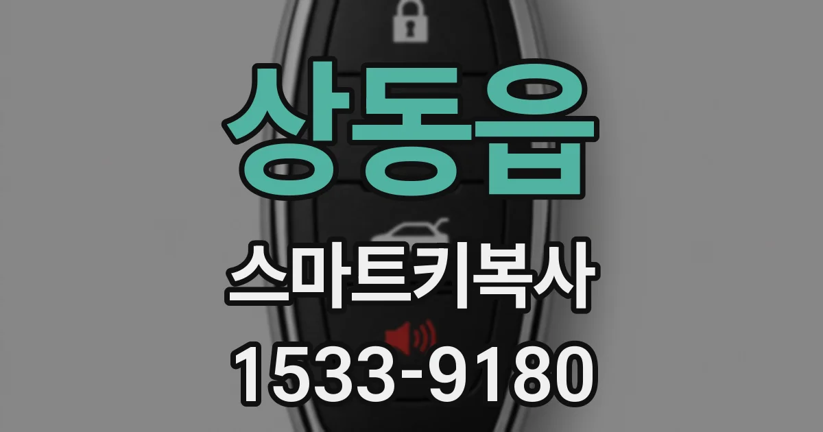 상동읍 스마트키복사